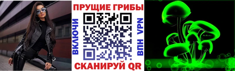 Купить  Якутск  Галлюциногенные грибы MAGIC MUSHROOMS 