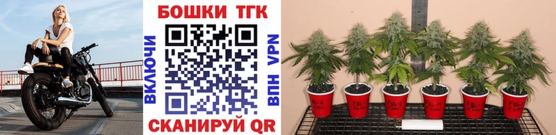 Шишки марихуана ГИДРОПОН  Купить где  Якутск 